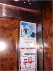 IMG-20150818-WA0029